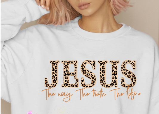 Christian Sweatshirt-Jesus is the way- Graphic Sweatshirt-0