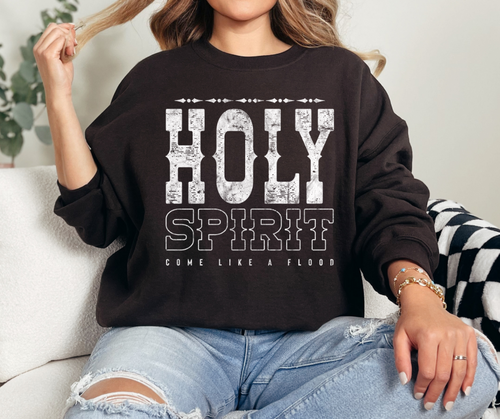 Christian Sweatshirt- Holy Spirit Come-Western-0