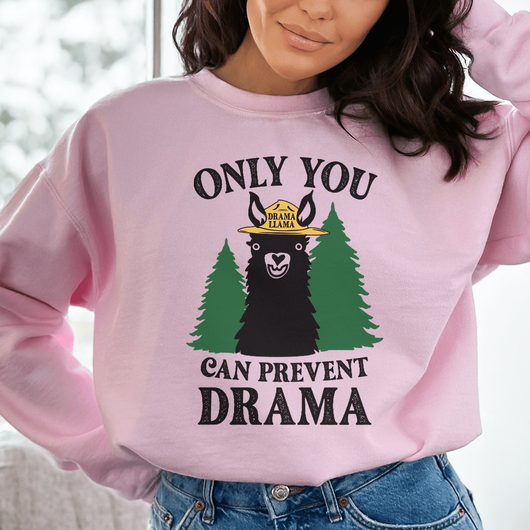 Only You Can Prevent Drama-2